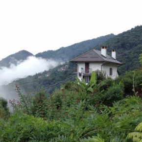 B&B La Locanda del Cinghiale Aurano